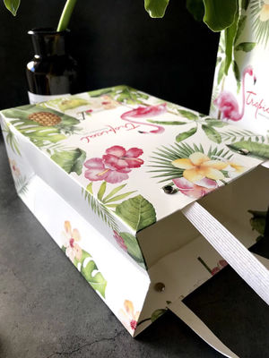CMYK 4C White Paperboard  Printed Paper Carry Bags For Gifts